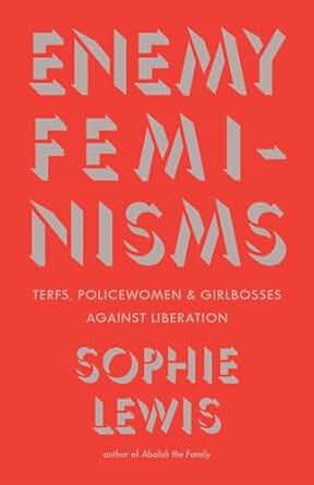 Book Cover Image of Enemy Feminisms