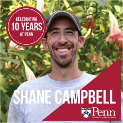 Shane Campbell