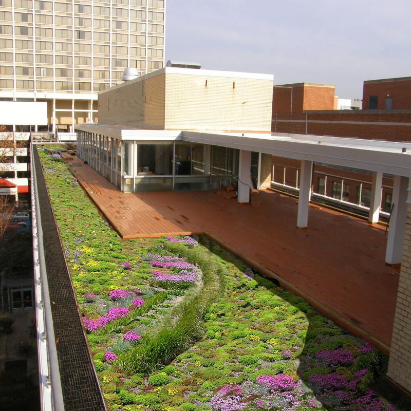 Green Roof at King's Court English House